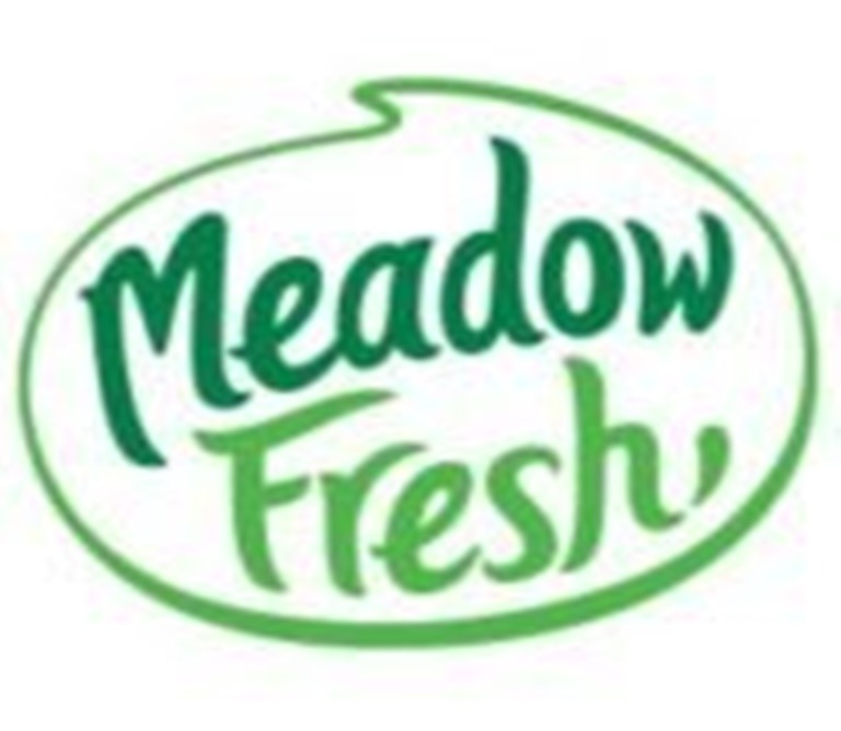 Thiết kế website chuyên nghiệp 6 meadowfresh compressed 150x150 1